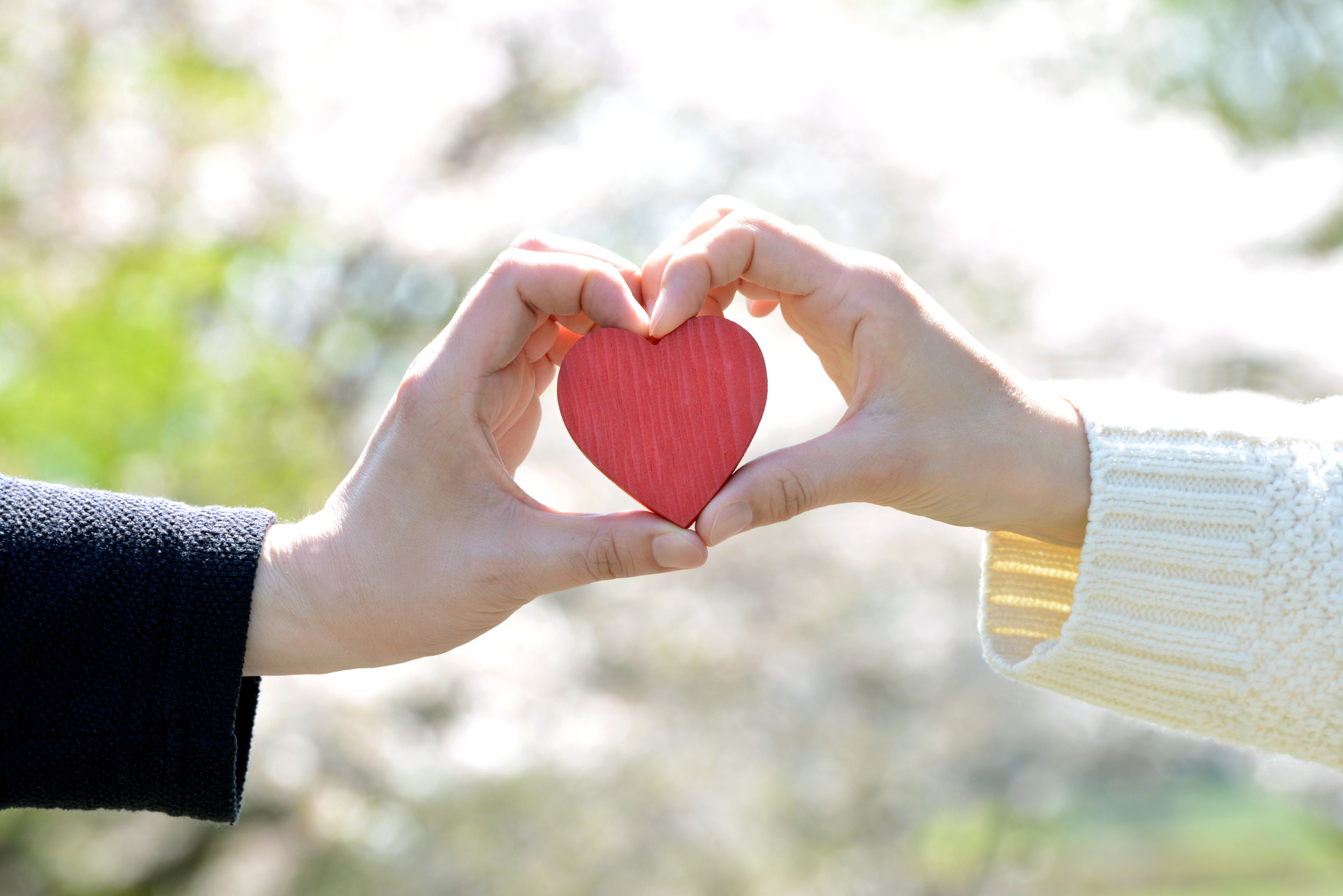AdobeStock_144792295